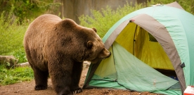 Keeping Camping with Family Fun and Safe