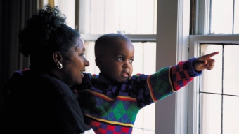 Why Windows Are a Hazard to Young Children