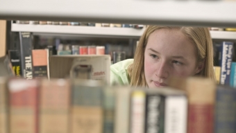 Timeline of Child Brain Development