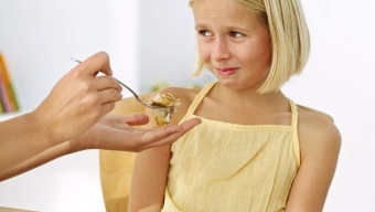 Parenting the Strong Willed Child