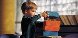 Play and Brain Development