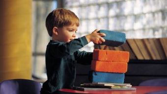 Play and Brain Development