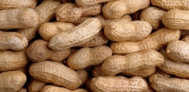 Food Allergies – Signs and Symptoms