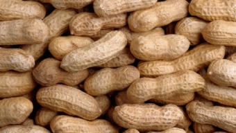 Food Allergies – Signs and Symptoms