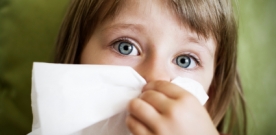 The Germ Survival Guide