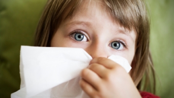 The Germ Survival Guide