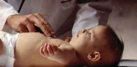 Newborn Brain Development