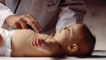 Newborn Brain Development