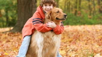 The Health Benefits of Pets for Children
