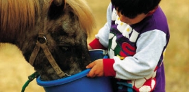 Rural Safety for Children