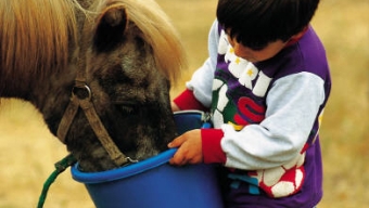 Rural Safety for Children