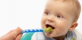 Babies Should Eat Meat and Tofu As First Solids
