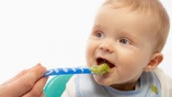 Babies Should Eat Meat and Tofu As First Solids