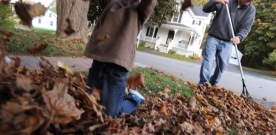 Double Dip Activities