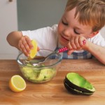 Making-Advocado-Frog-Dip